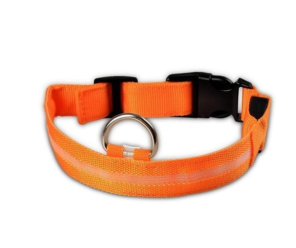 LED Night Safety Pet/Dog Collar