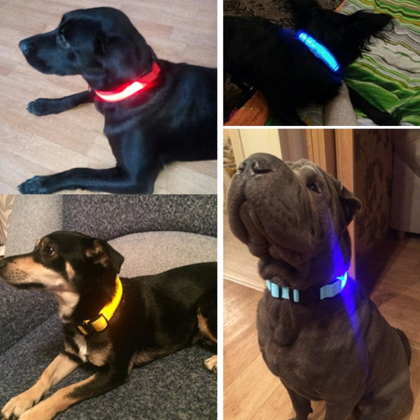 LED Night Safety Pet/Dog Collar