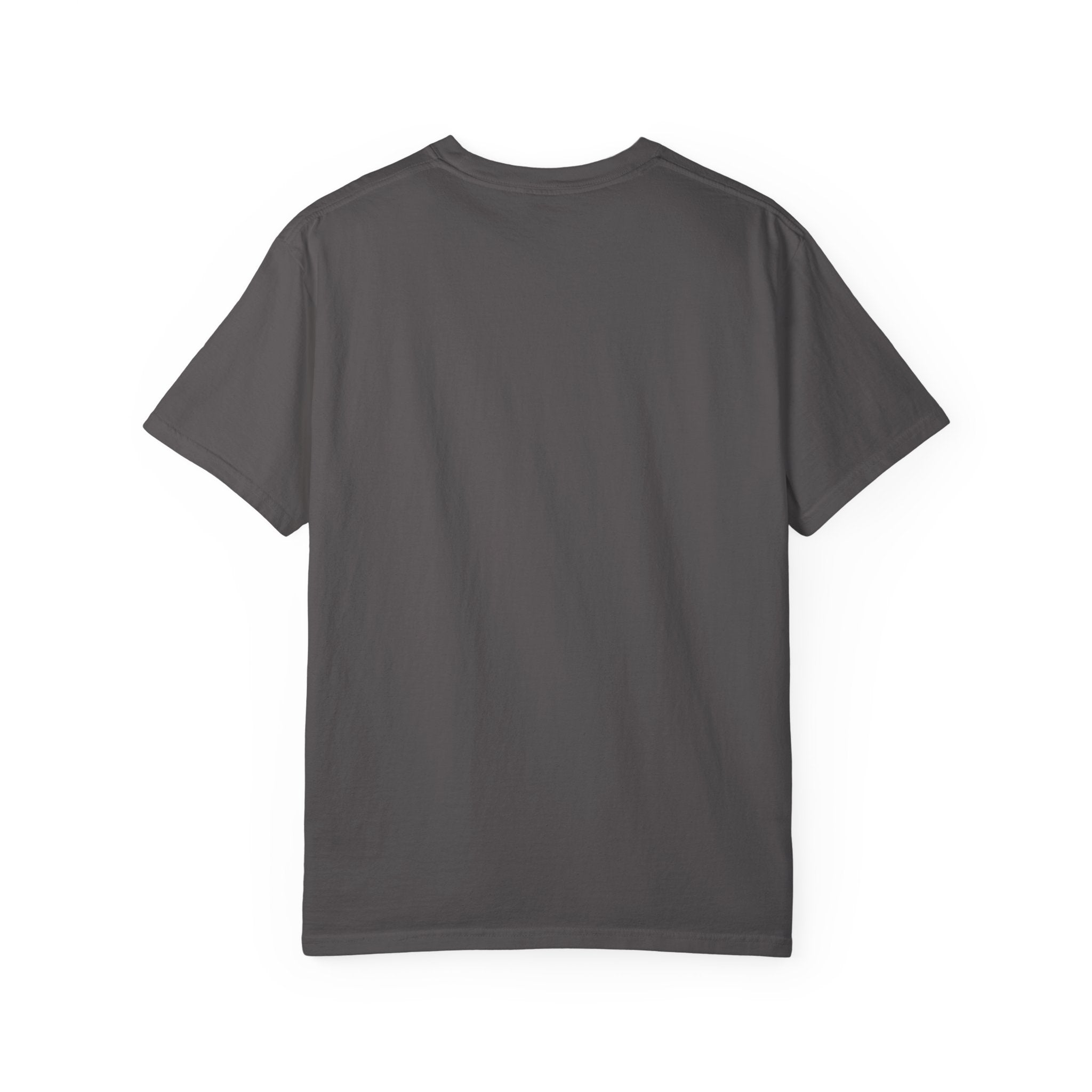 Cute Halloween Raccoon in costume t-shirt