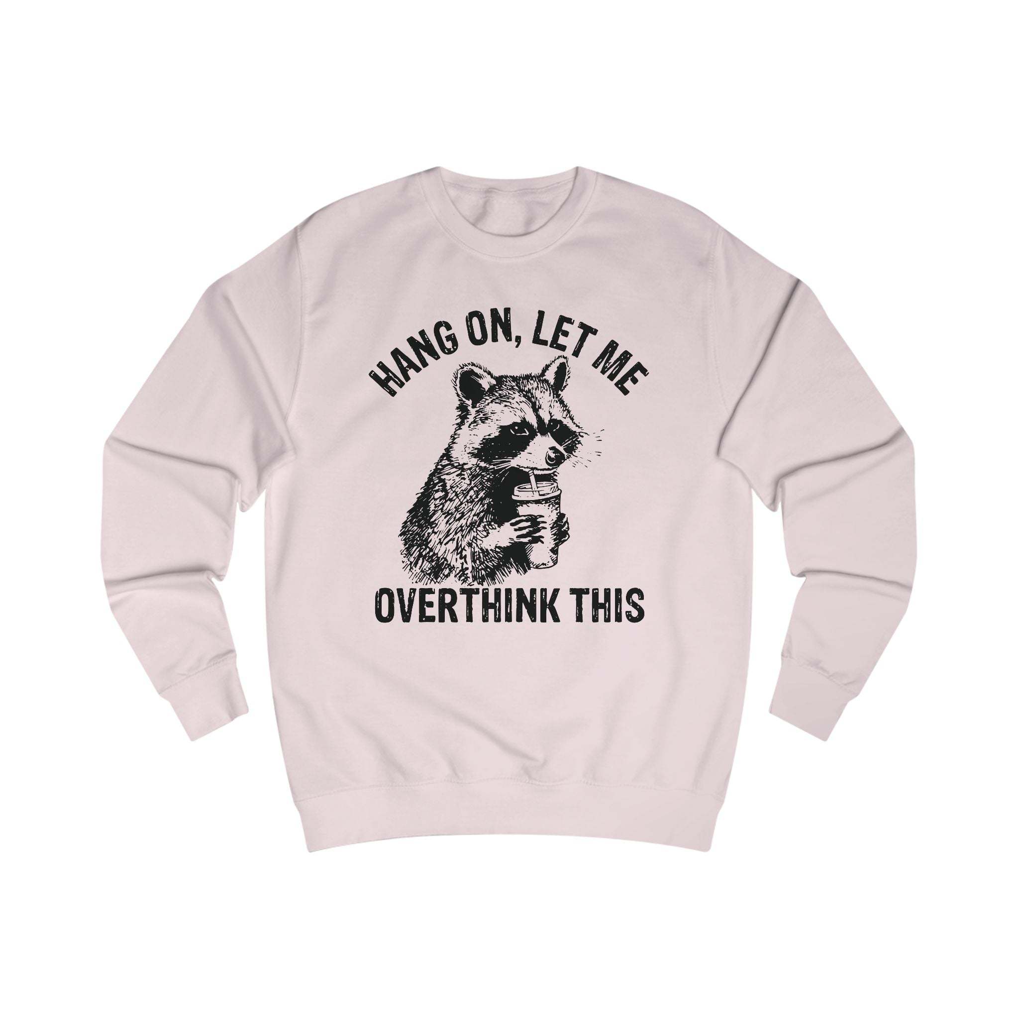 Funny Overthinking Raccoon Sweatshirt, Unisex Gift, Cozy Layer, Perfect for Friends, Overthinkers, Birthday, Casual Outing