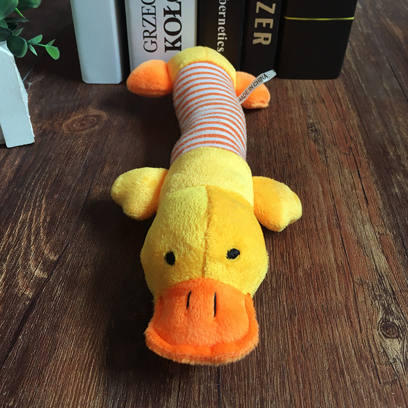 Dog, Cat, Pet Toy